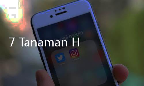 7 Tanaman Herbal Ini Bisa Bikin Otak Makin 'Encer' dan Cerdas